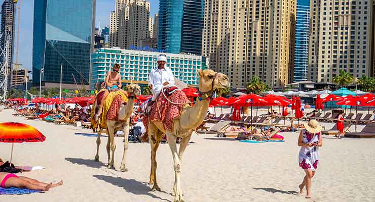 Camel ride