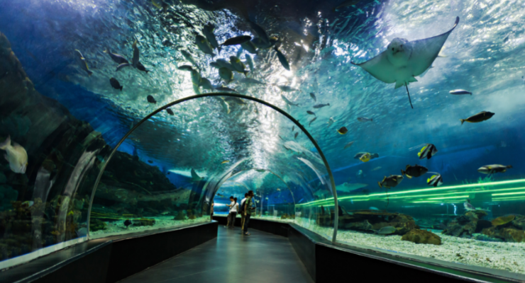 Dubai Aquarium and Underwater Zoo