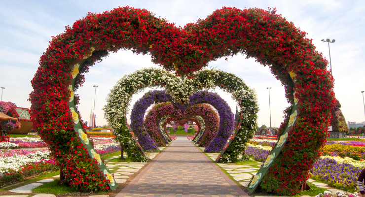 Dubai Miracle Garden